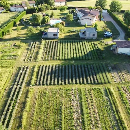 Domaine D'Elusa Vic-Fezensac Exterior photo