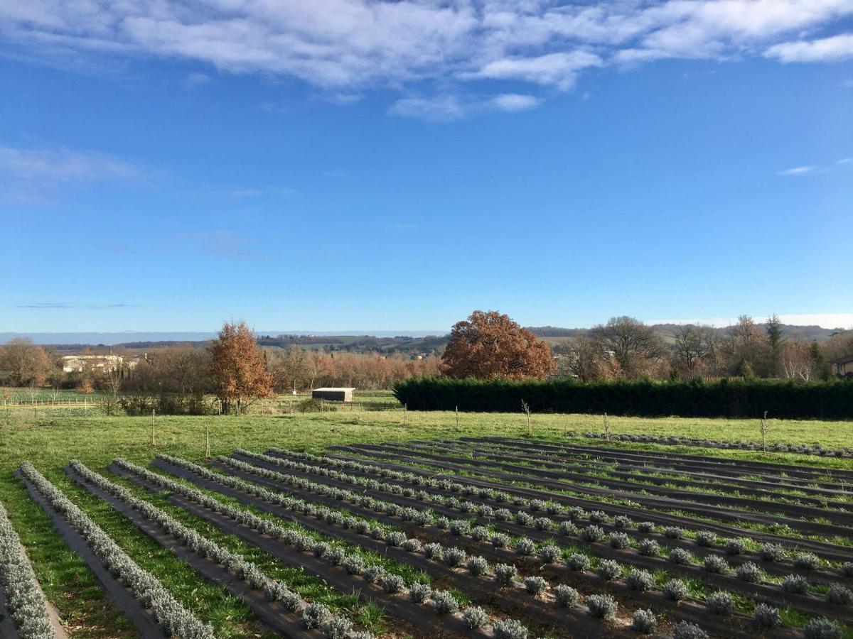 Domaine D'elusa Vic-Fezensac