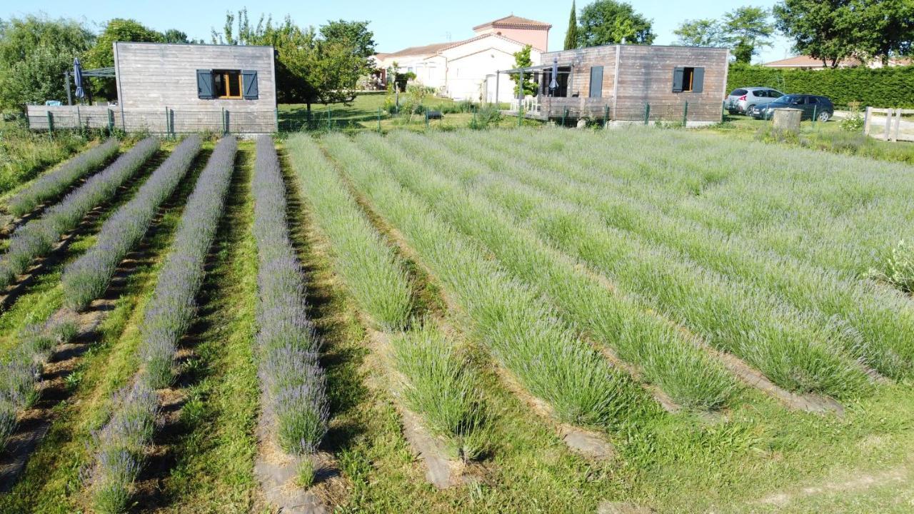 Domaine D'elusa Сasa de vacaciones